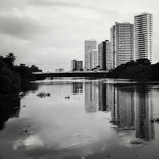 Zé Gomes Neto tweet media