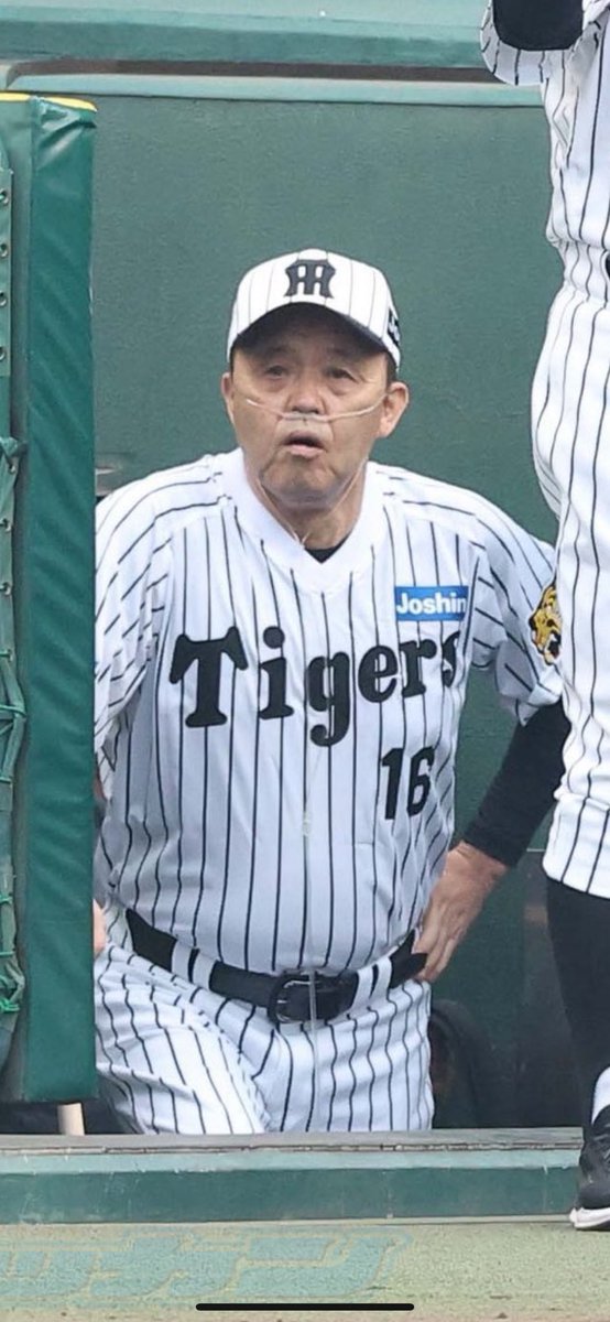 ダンプ松本 tweet media