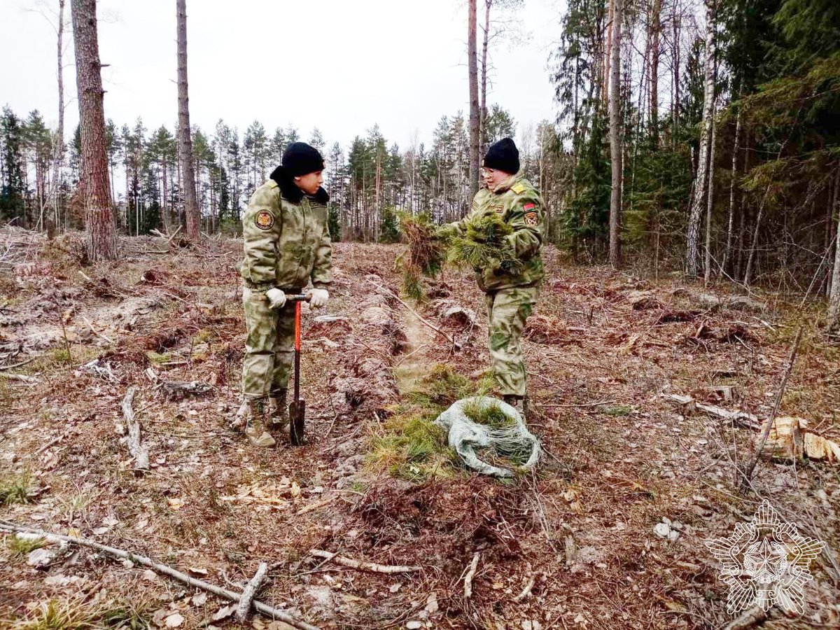 Минобороны Беларуси tweet media