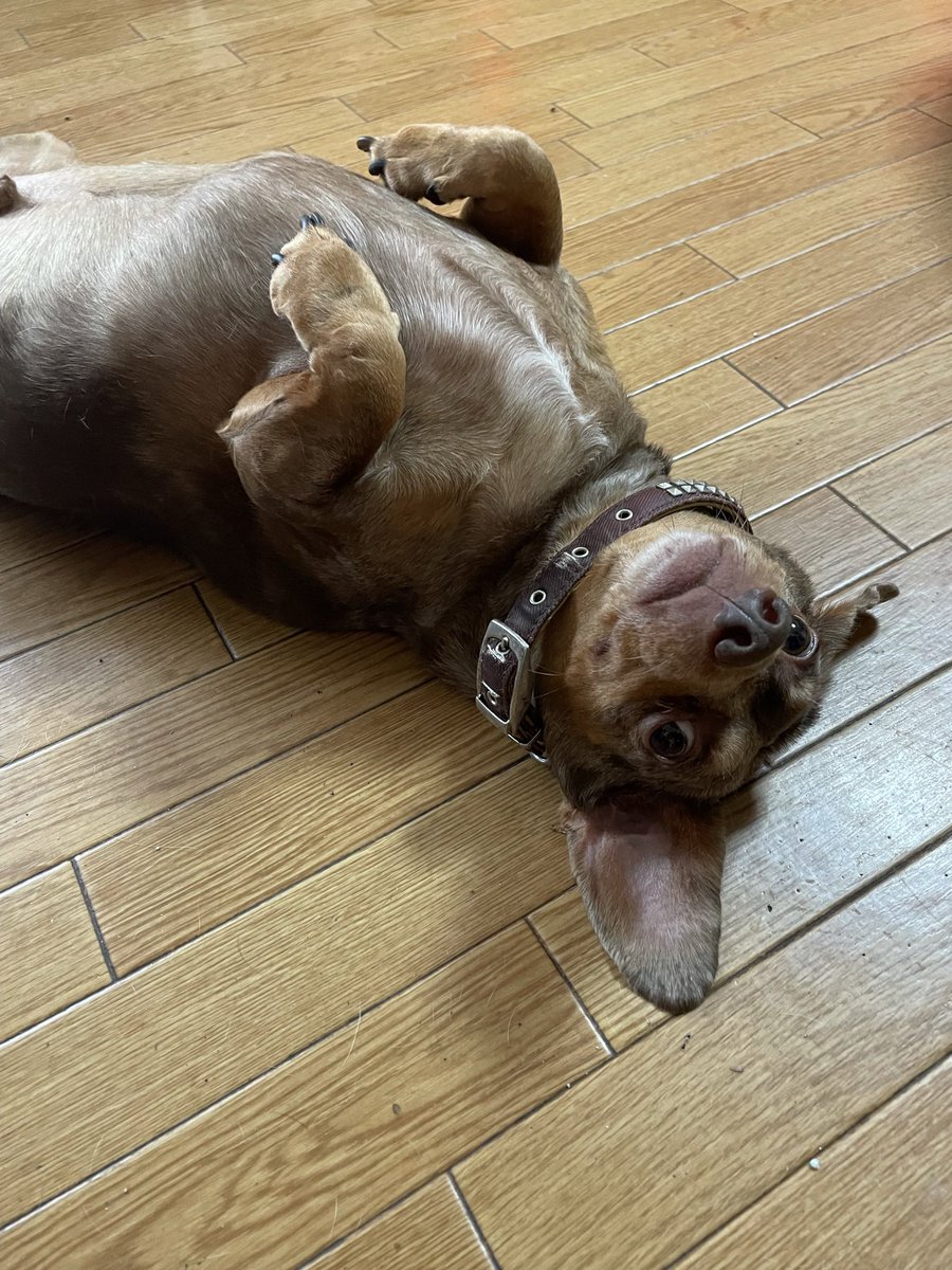 まそっぷ tweet media