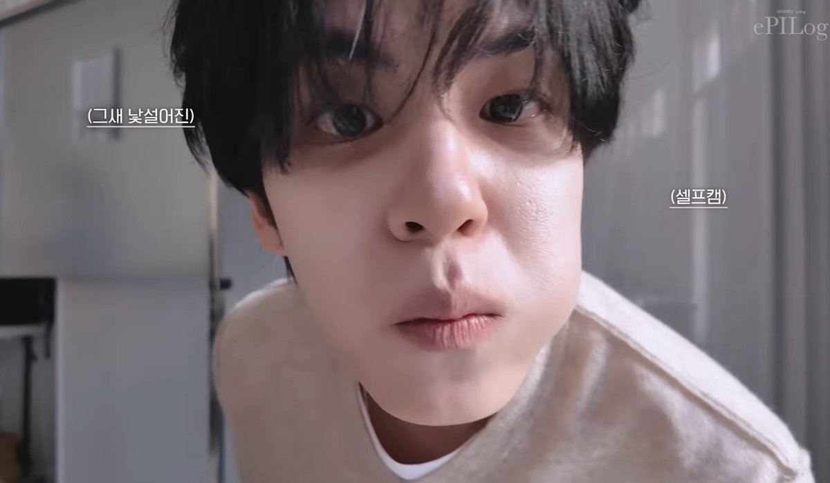 쁘띠데시기🍀 tweet media