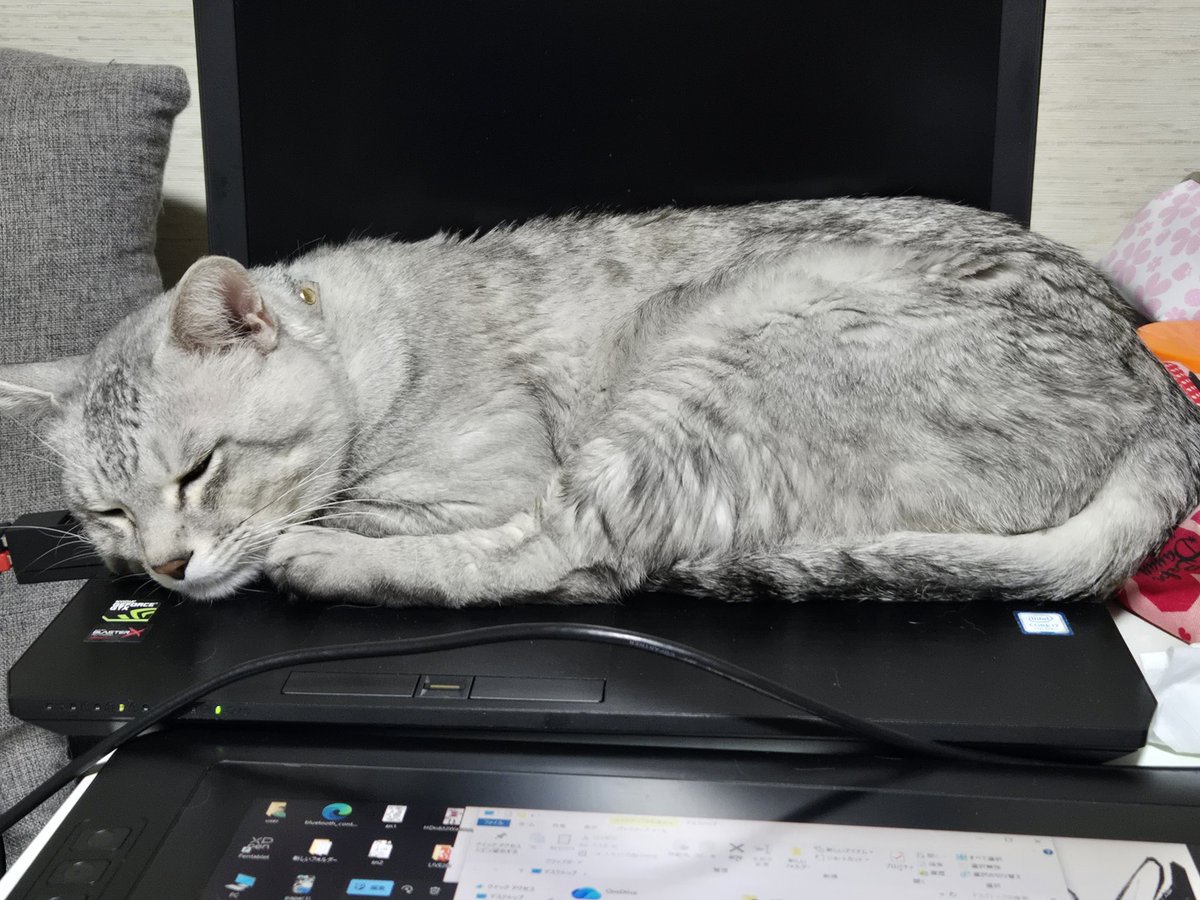 更に満遍なく押してるねきみ
