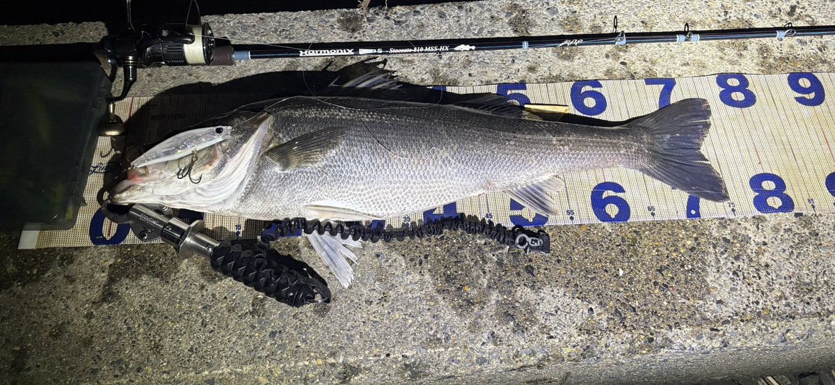 watanu_repu's tweet image. 大きめなイナッコの群れ見つけたのでメガバンク投げたらゴン！！！

やはりバンク120Sは通年ボックスに入れておかないとね！！

#PSC
#バンク120s
#ツララ
#スタッカート810