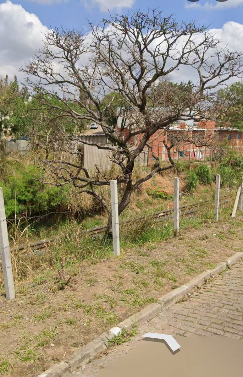 mist 🗯️ tweet media