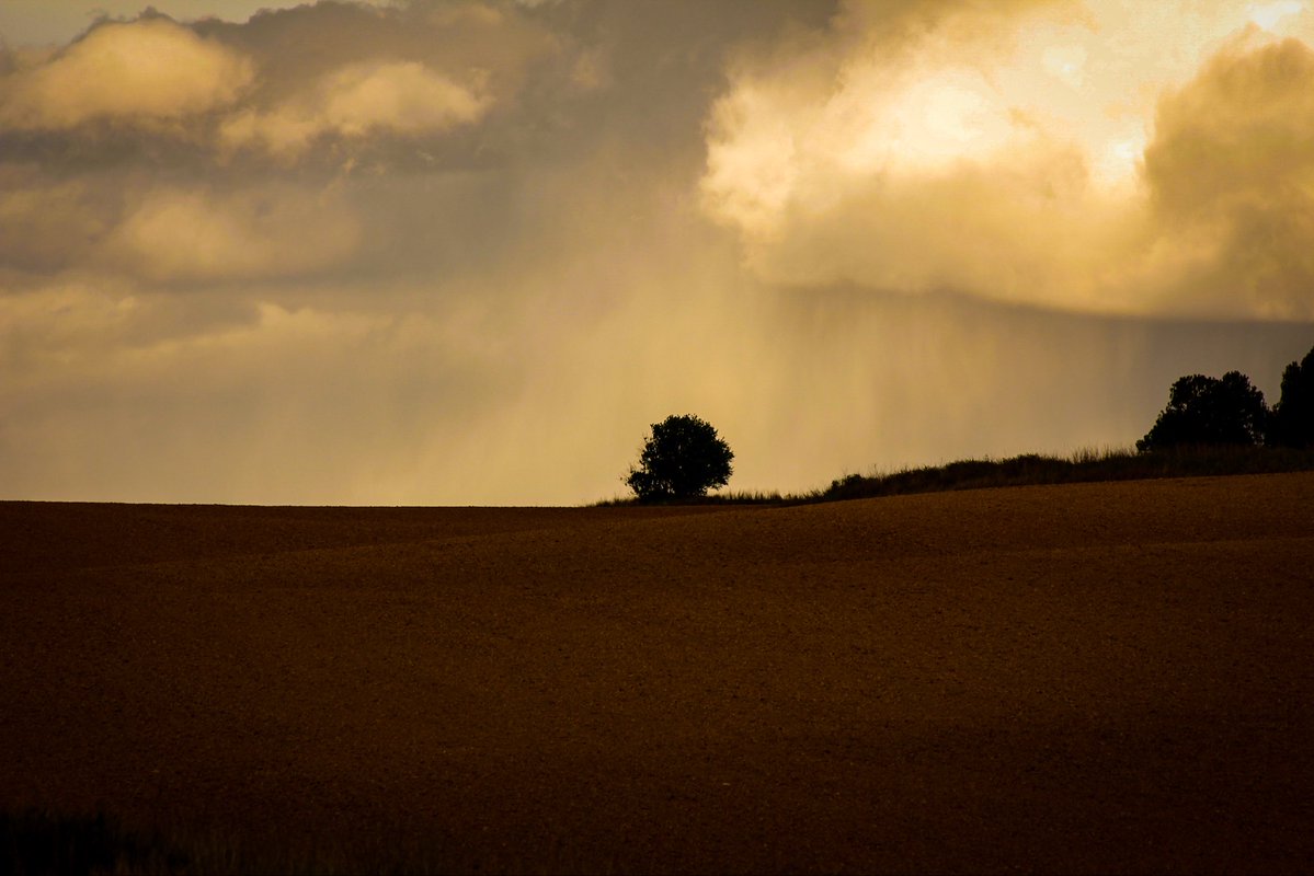 maría 🌾 tweet media