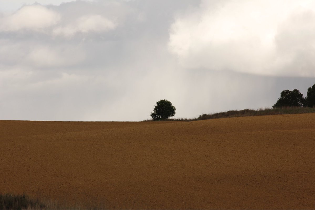 maría 🌾 tweet media