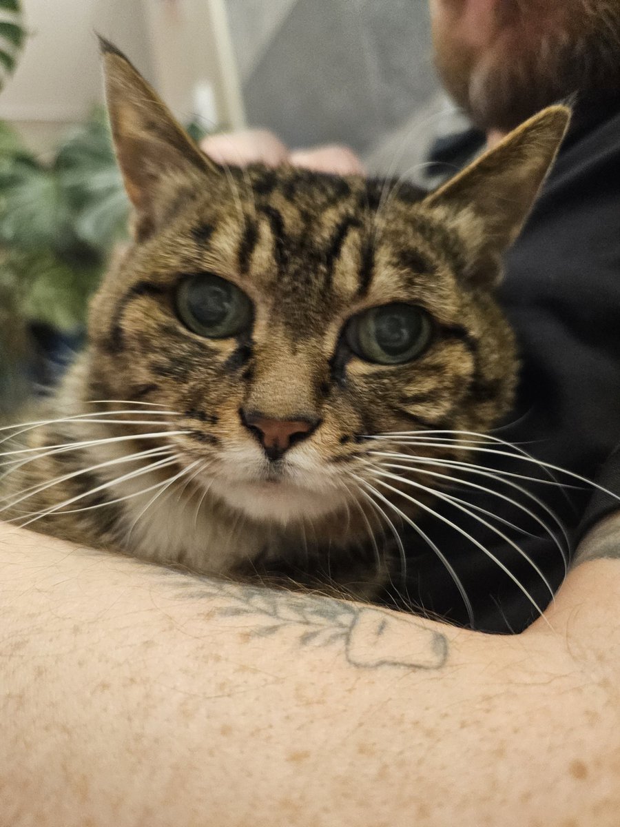 침엽수 tweet media