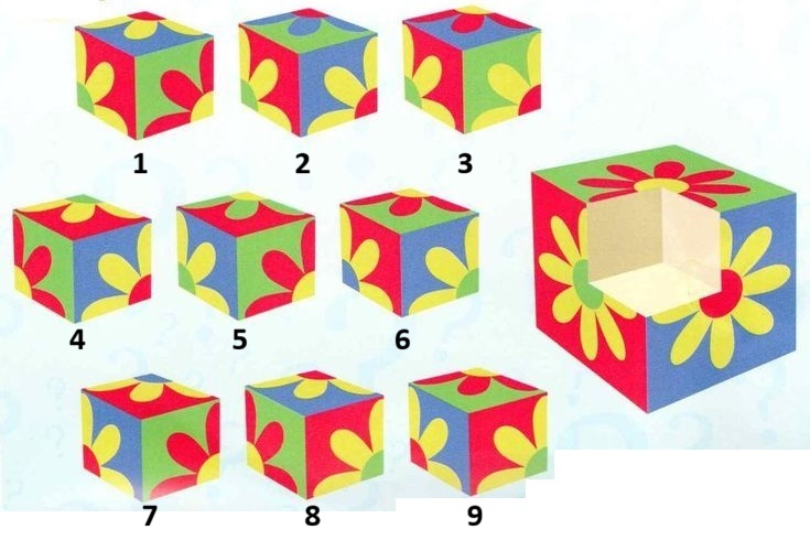 Junio Puzzles tweet media