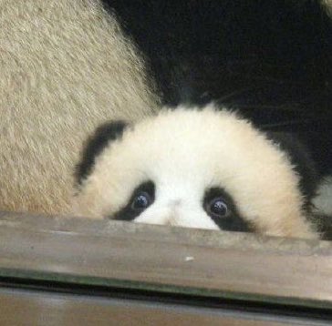 키티🎀 tweet media