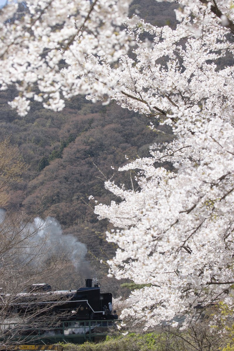 茶釜 tweet media