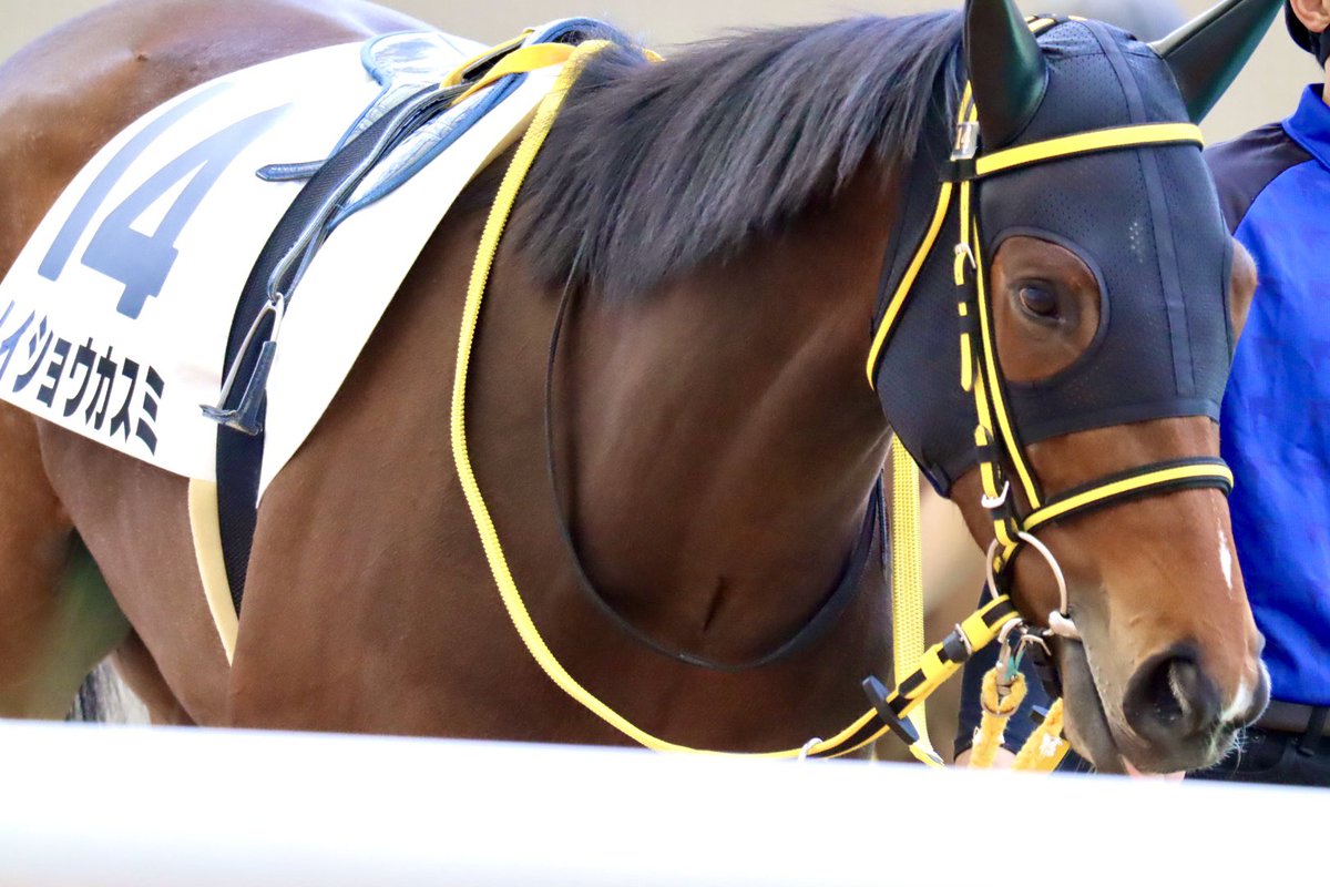 𝔂𝓪𝓴𝓪𝔃𝓾 tweet media