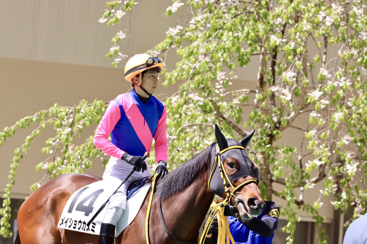 𝔂𝓪𝓴𝓪𝔃𝓾 tweet media