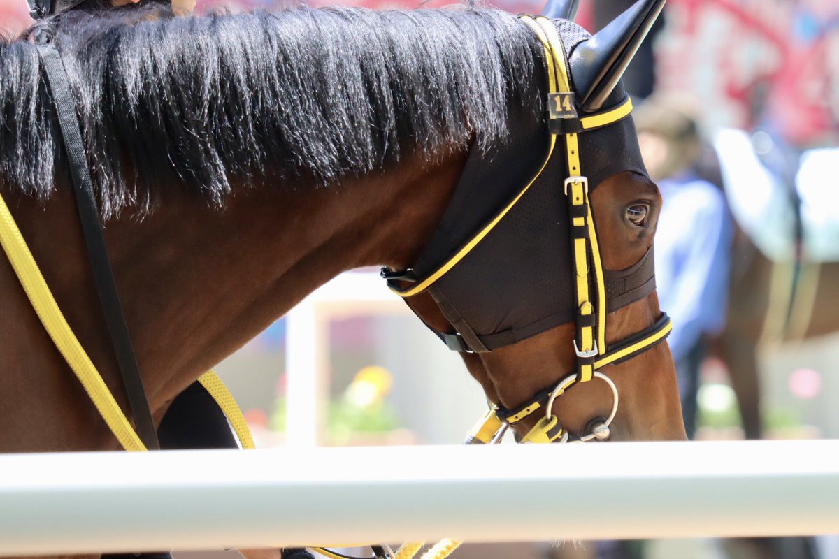 𝔂𝓪𝓴𝓪𝔃𝓾 tweet media