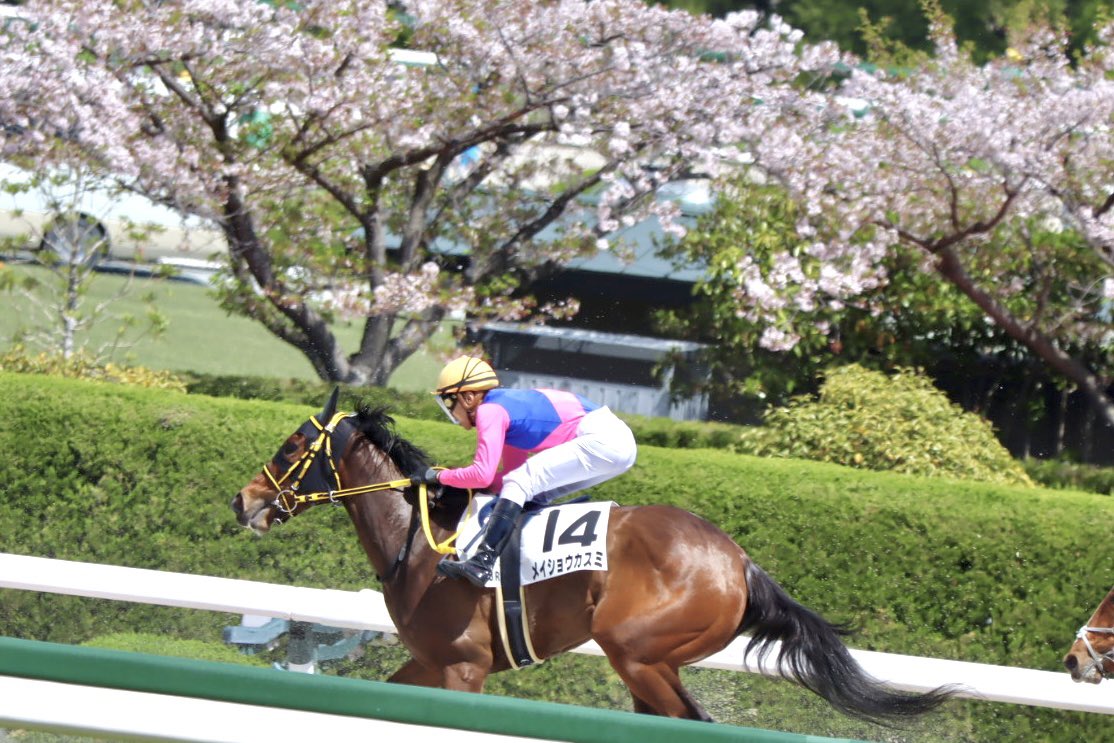 𝔂𝓪𝓴𝓪𝔃𝓾 tweet media