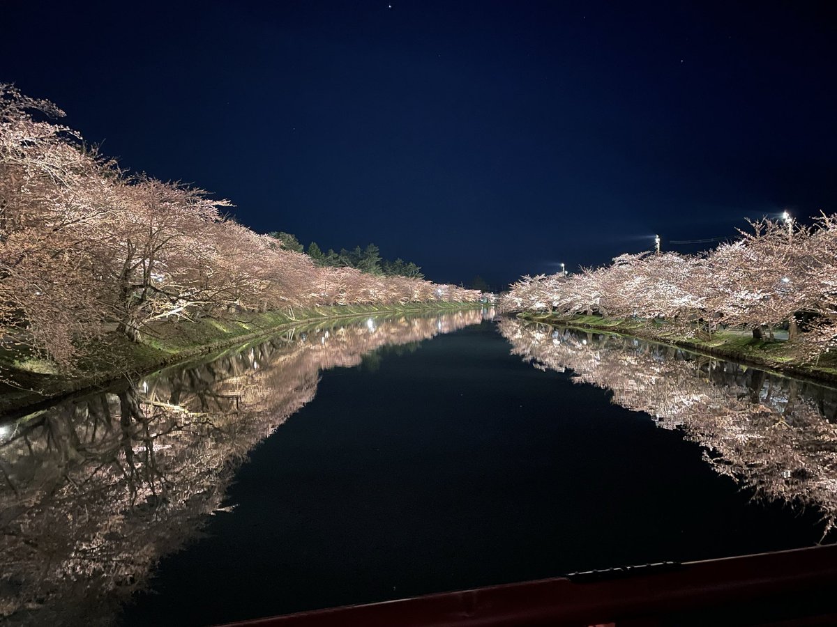 #弘前公園 #弘前桜祭り 今日のハートと春陽橋