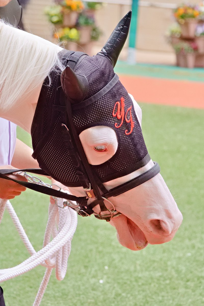 モス！ tweet media