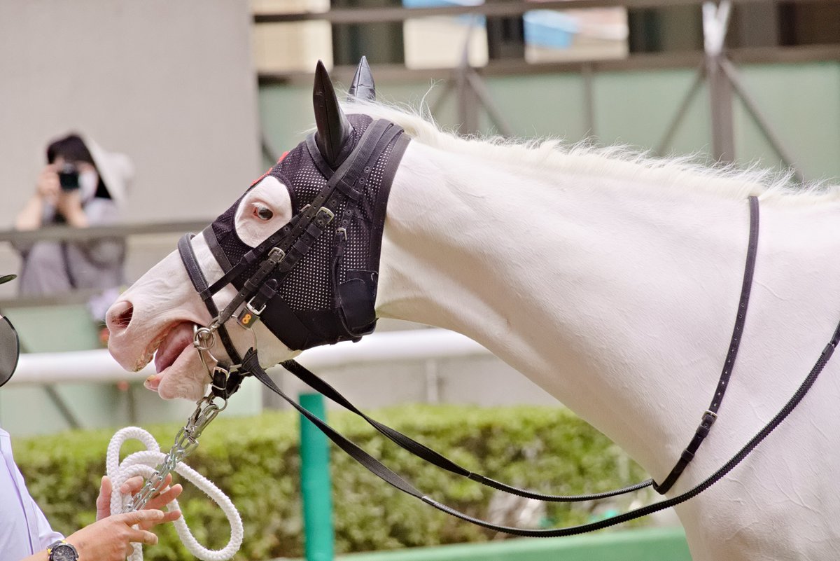 モス！ tweet media