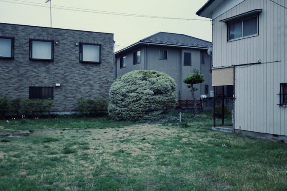 PPC | Punctum Photo Curation tweet media