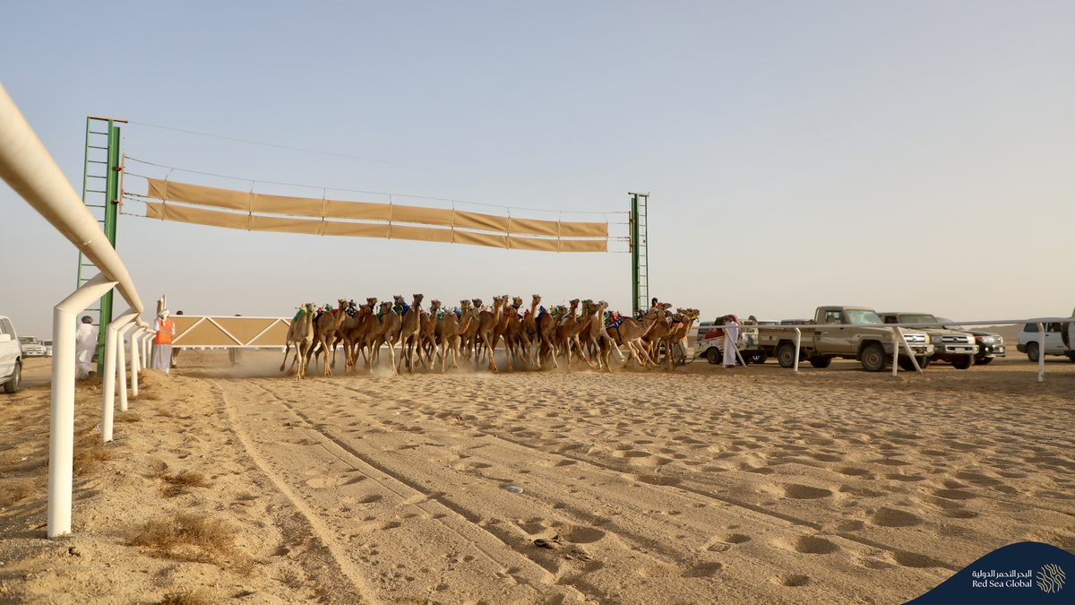 البحر الأحمر الدولية tweet media