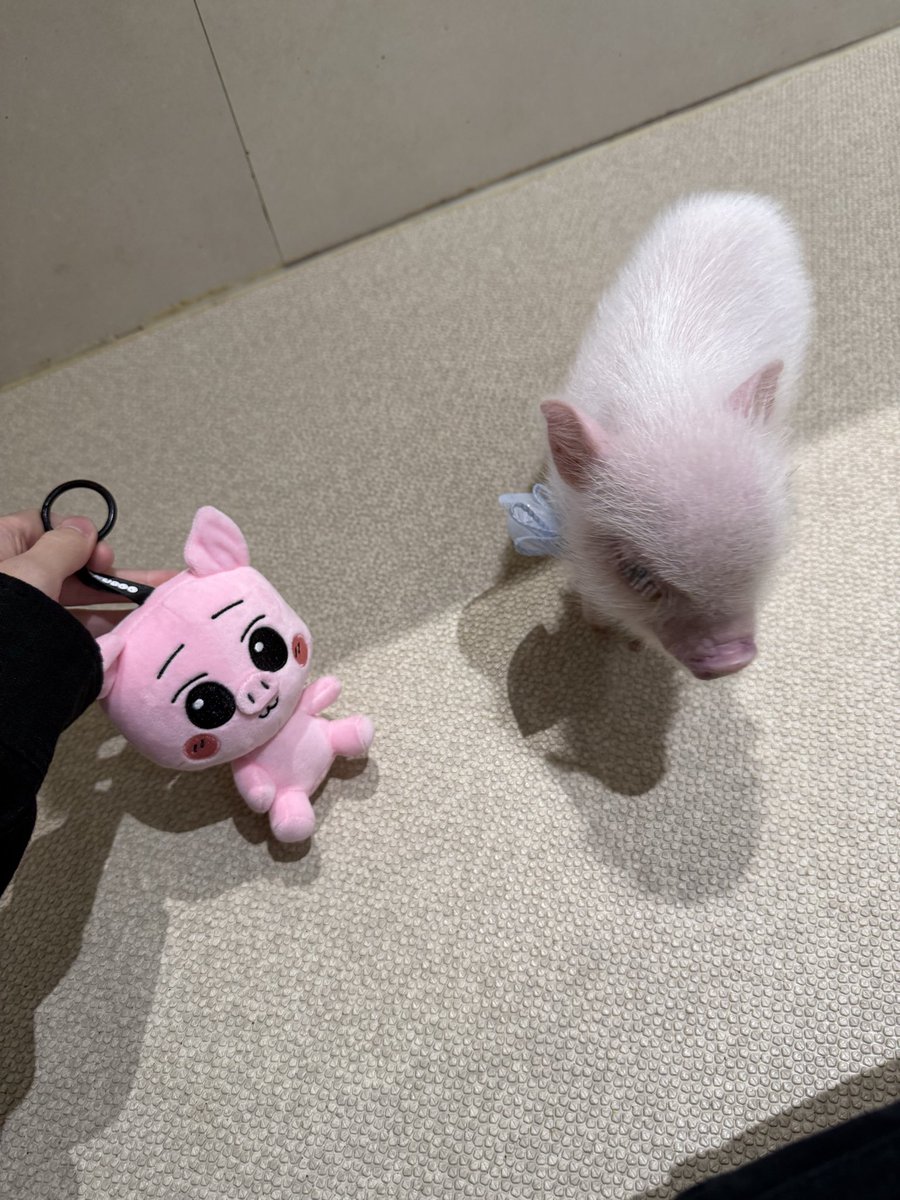 吉野北人／HOKUTO tweet media