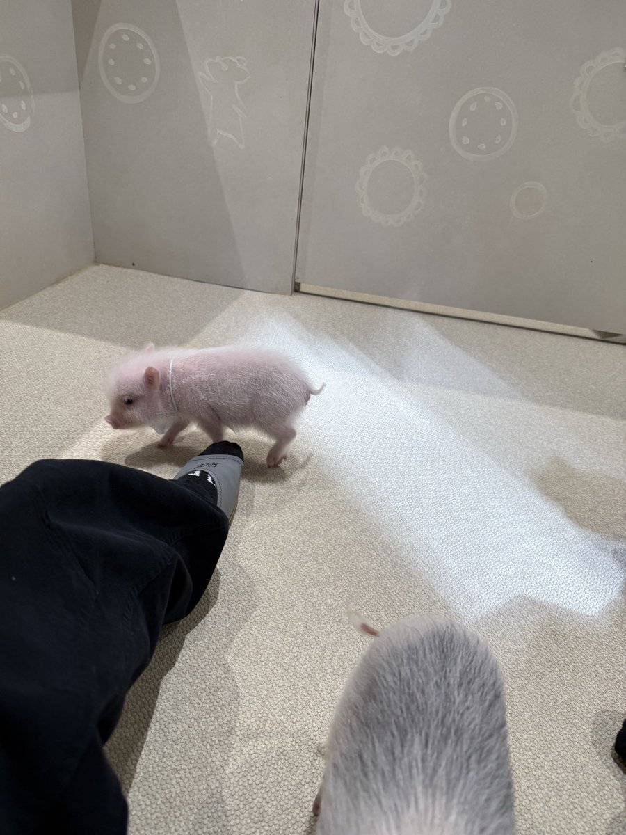 吉野北人／HOKUTO tweet media