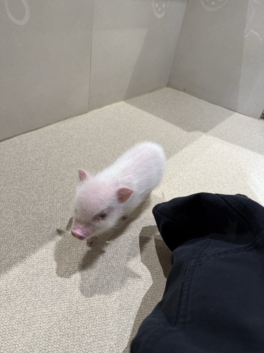 吉野北人／HOKUTO tweet media