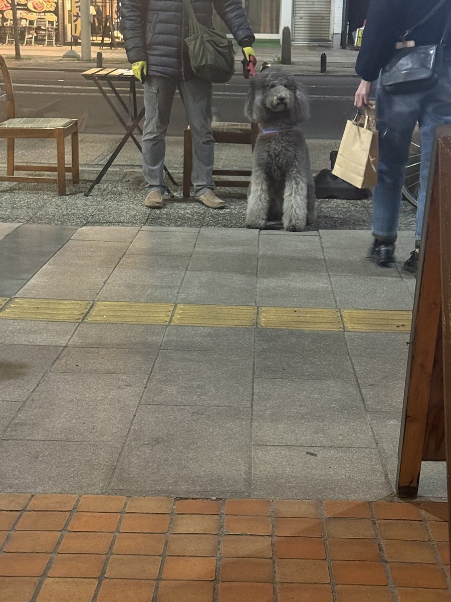 ｴﾘｺ tweet media