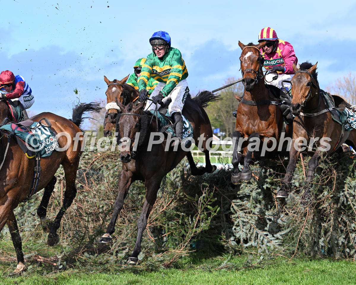 OfficialPhotographers tweet media