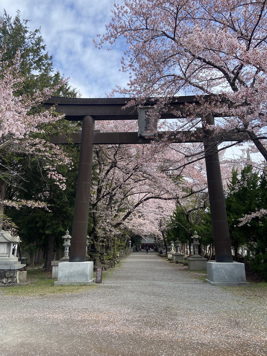 Miyuki Okano tweet media