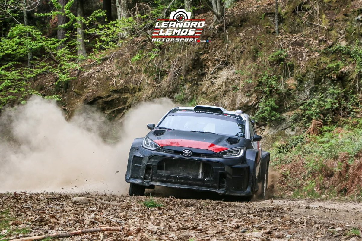 Paulo Araujo tweet media