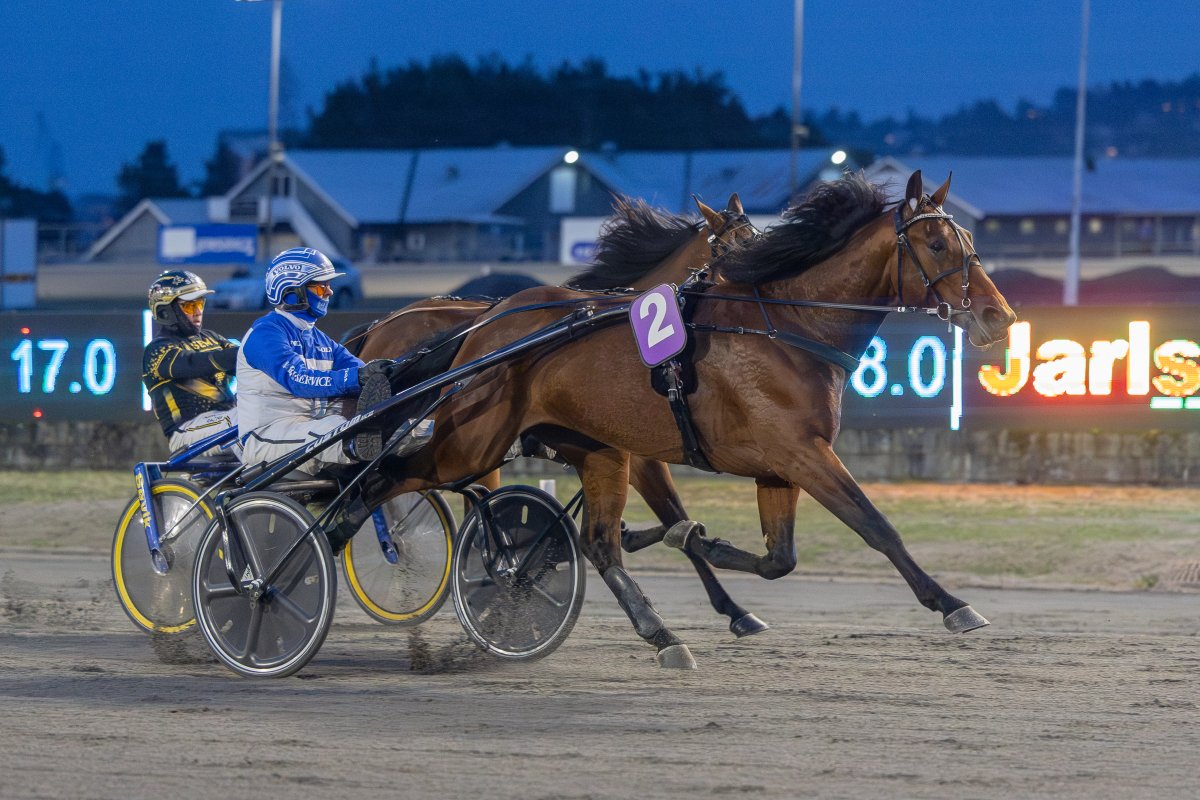 Espen Edvardsen tweet media