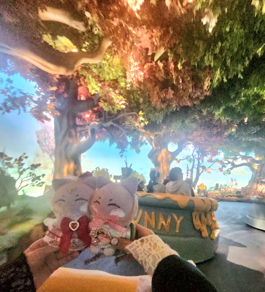 ドギ、初めてのディズニーだったので
カガヤキのマナコを見せてくれた。