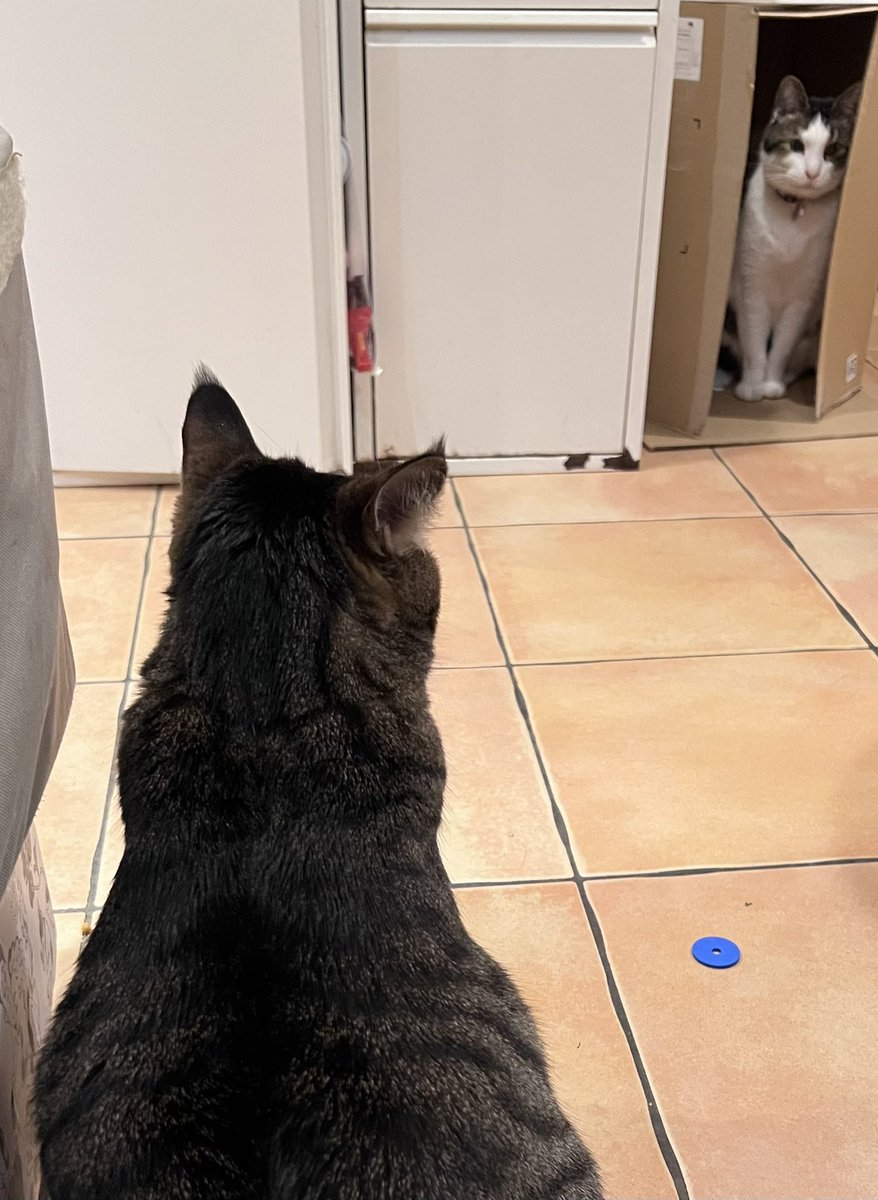 宗方脩 tweet media