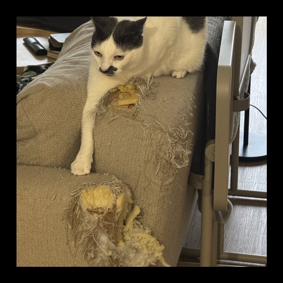 Minna Pärssinen tweet media