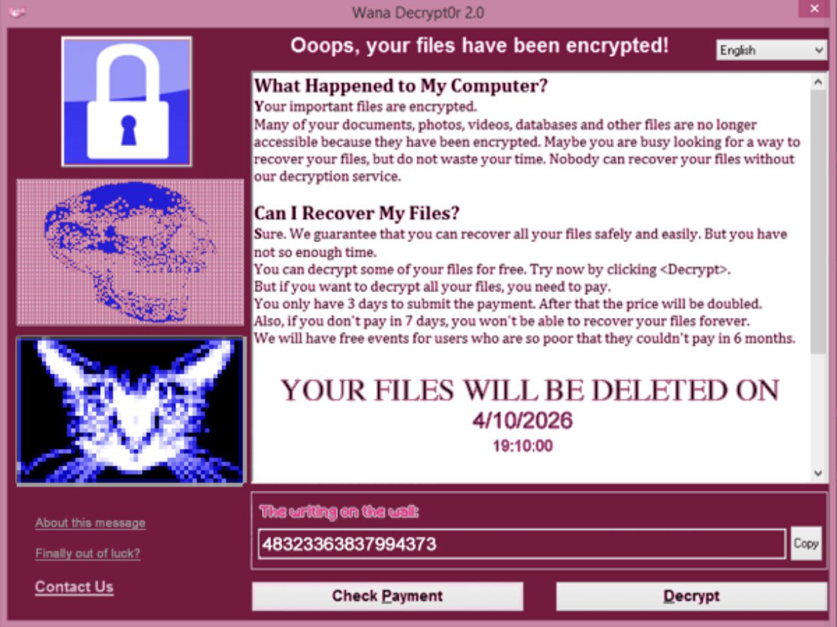 central ninajirachi tweet media