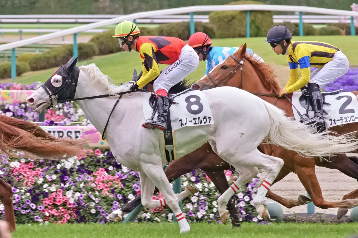 モス！ tweet media