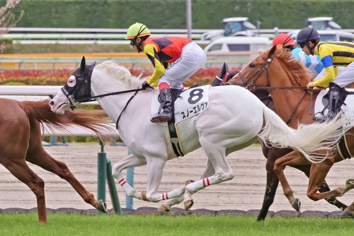 モス！ tweet media