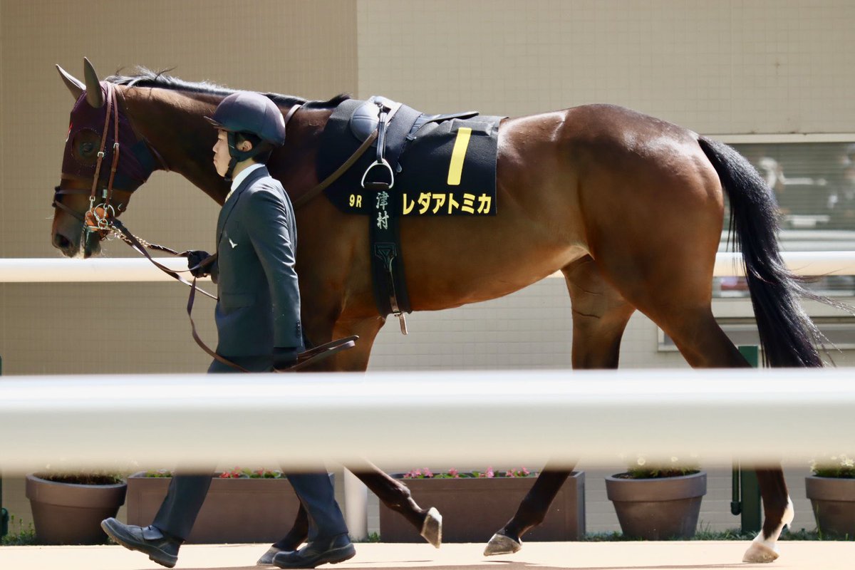 𝔂𝓪𝓴𝓪𝔃𝓾 tweet media