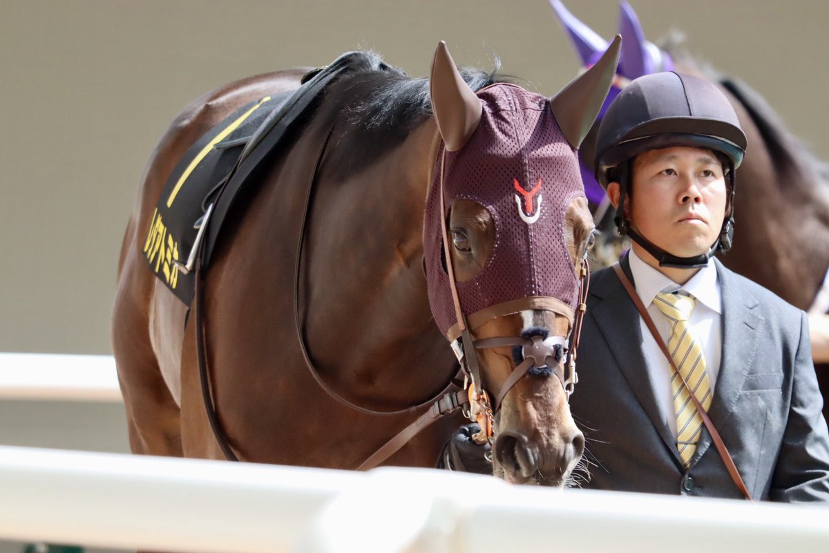 𝔂𝓪𝓴𝓪𝔃𝓾 tweet media