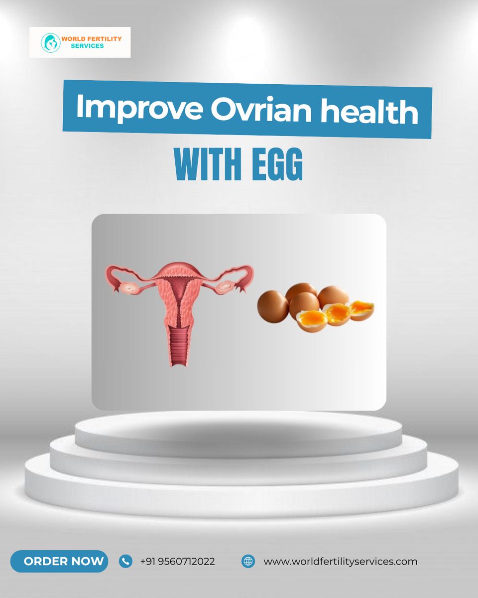 worldfertility's tweet photo. Ovarian Health with diet | World Fertility Services
Eggs are a great source of protein, good fats, and vital minerals like vitamin D and lecithin that support ovarian function and hormone balance.
#ivf 
For more info :  https://t.co/N944LkdXA2 https://t.co/BGTG7rroRJ