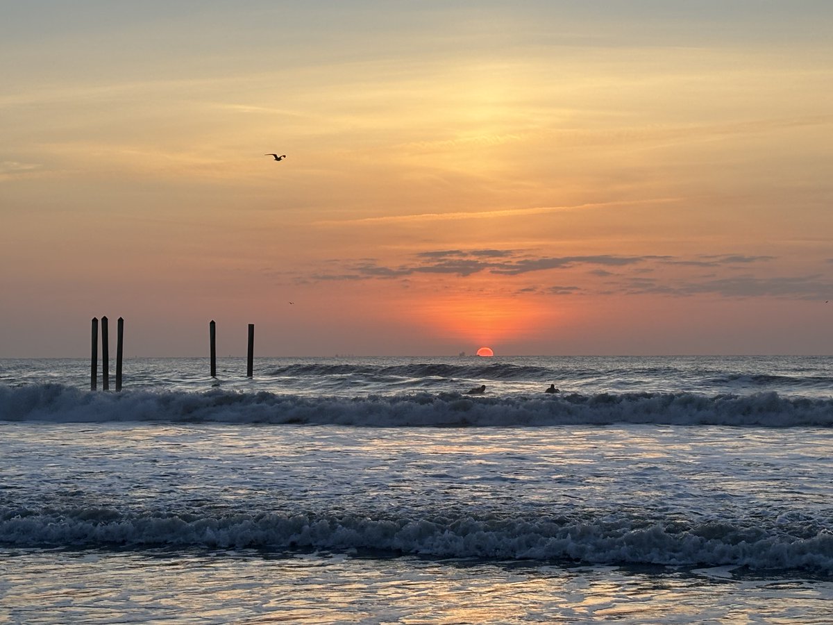 valkerie777's tweet image. Good morning from #Florida #sunrise #beachlife