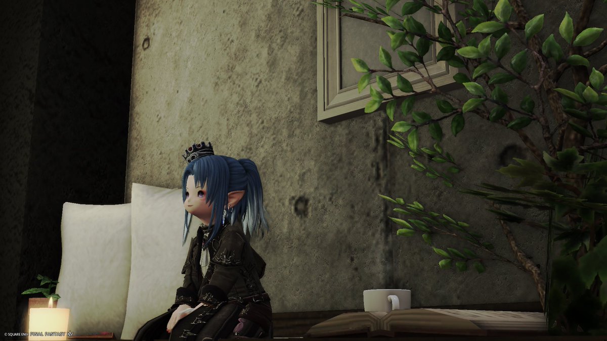 きゆるん(*‘ω‘ *)FF14/Aegis tweet media