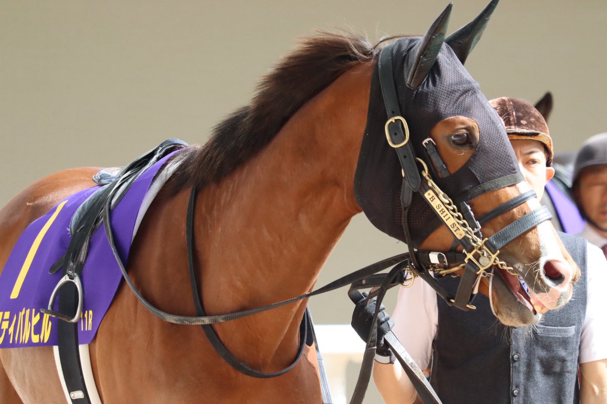 𝔂𝓪𝓴𝓪𝔃𝓾 tweet media