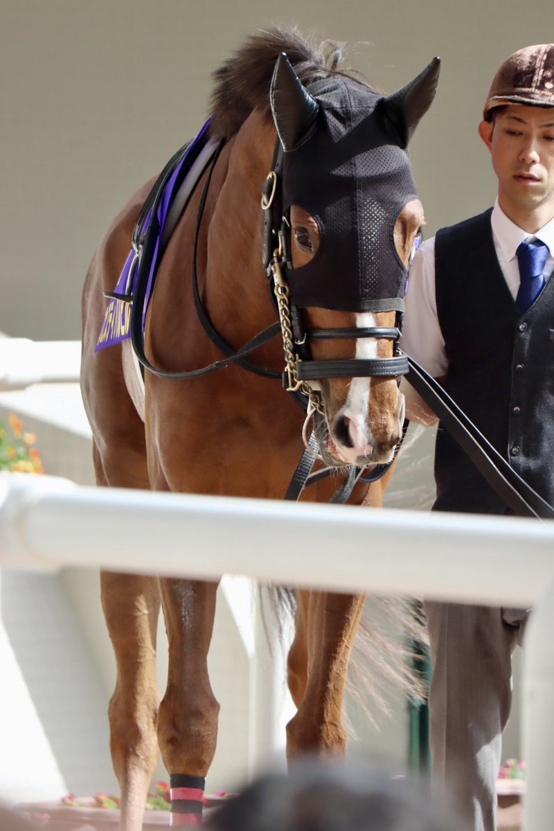 𝔂𝓪𝓴𝓪𝔃𝓾 tweet media