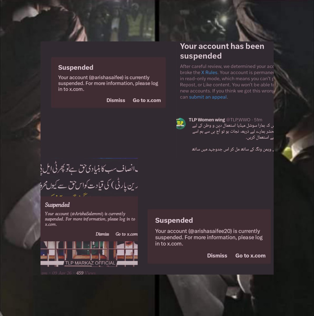 arishasaifee tweet media