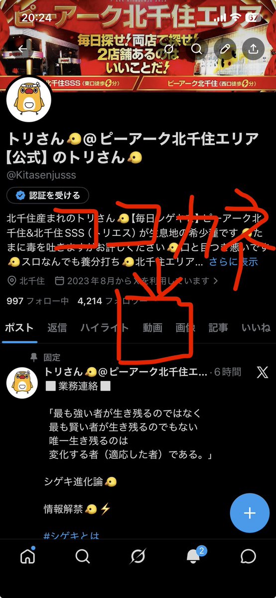 トリさん🐤@ピーアーク北千住エリア【公式】のトリさん🐤 tweet media