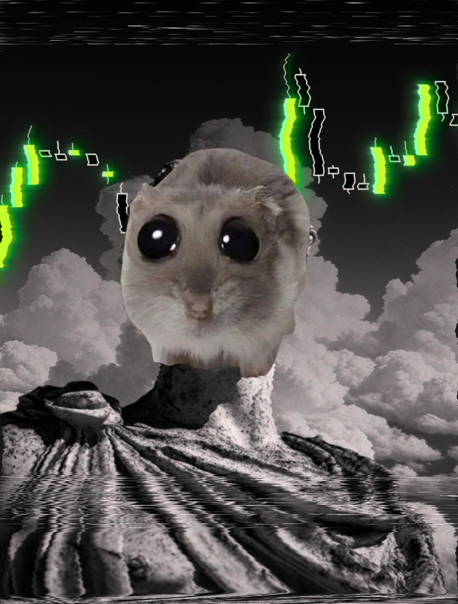 Hamilio1's tweet photo. @cryptofergani Easy buy hammy and chill https://t.co/klZb99gzUa