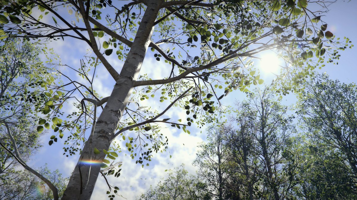 Ayghan 📸 tweet media