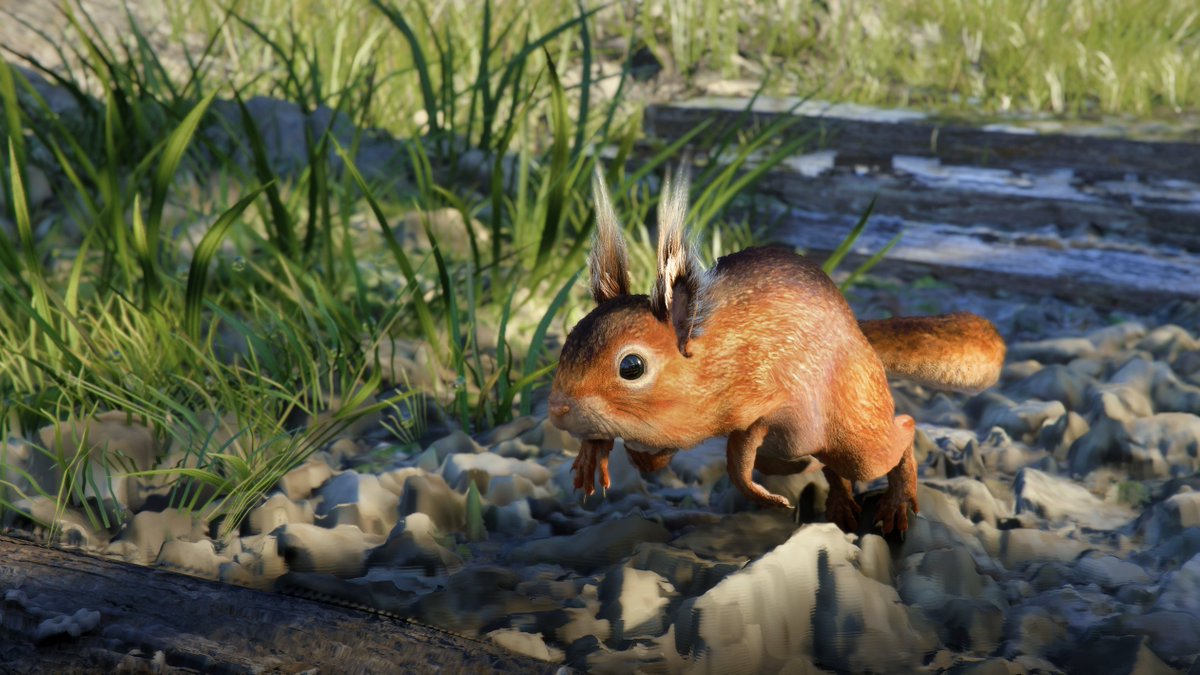 Ayghan 📸 tweet media