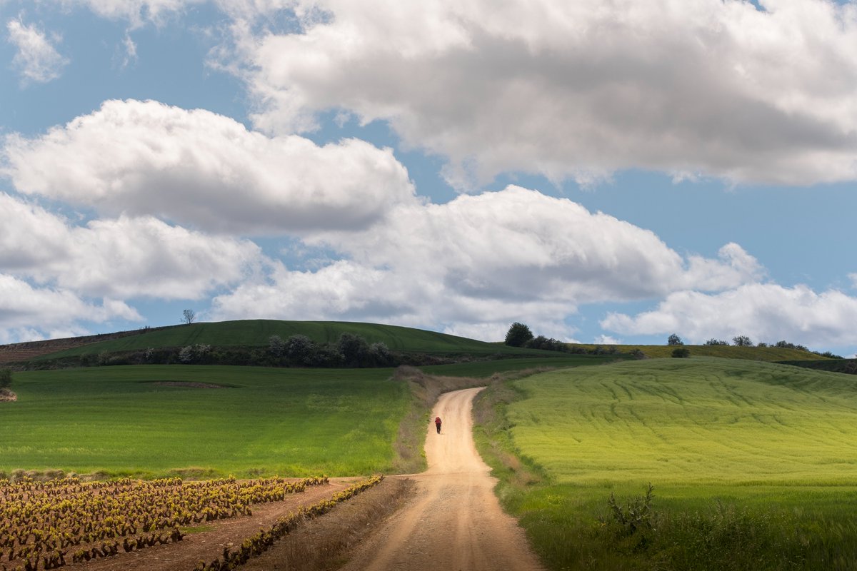 La Rioja Turismo tweet media